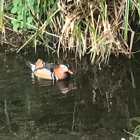 Stockghyll Cottage ボウネス＝オン＝ウィンダミア エクステリア 写真