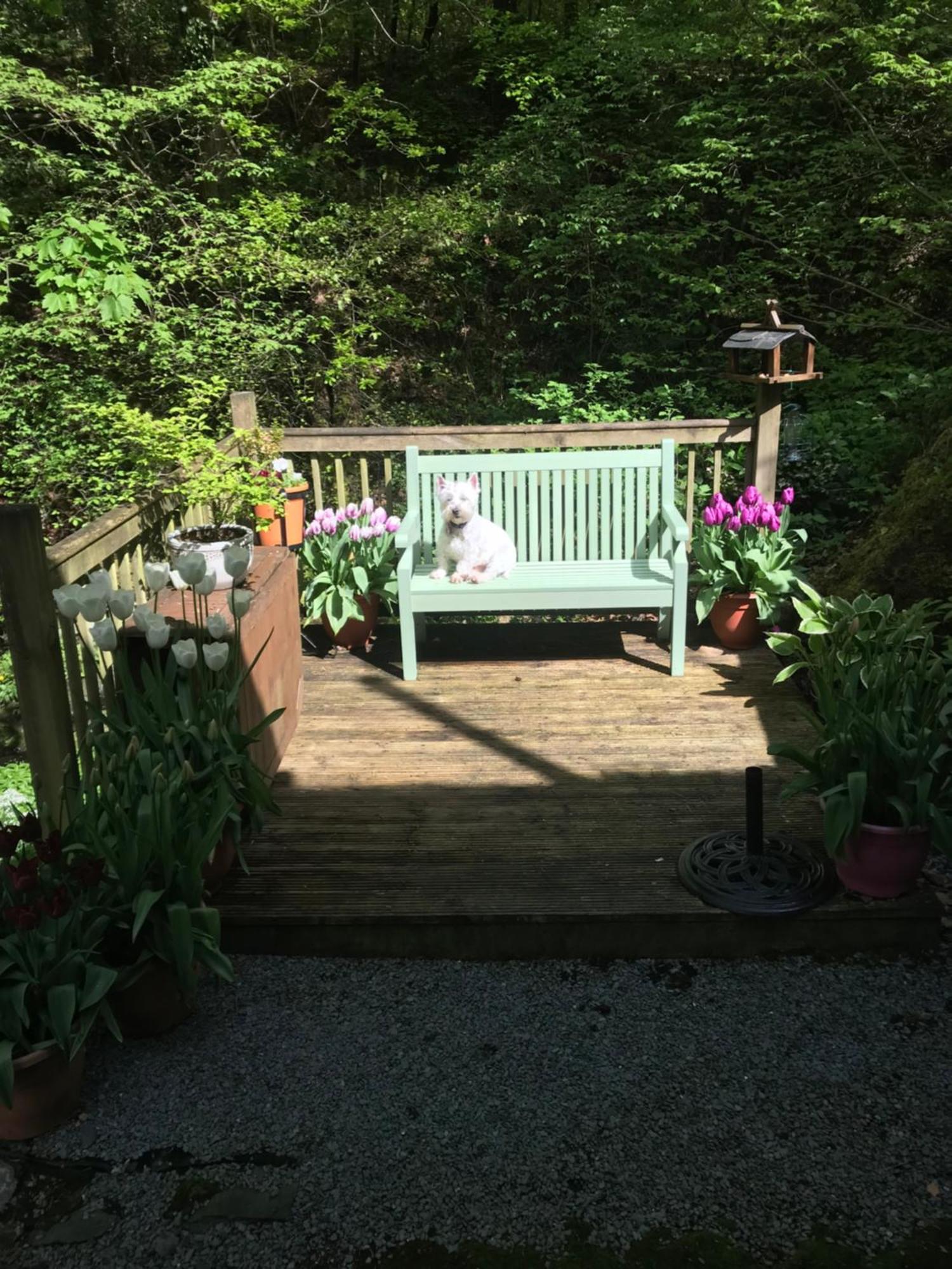 Stockghyll Cottage ボウネス＝オン＝ウィンダミア エクステリア 写真